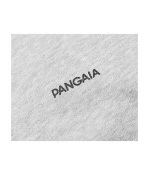 Pangaia 365 Hoodie Grey Marl-2